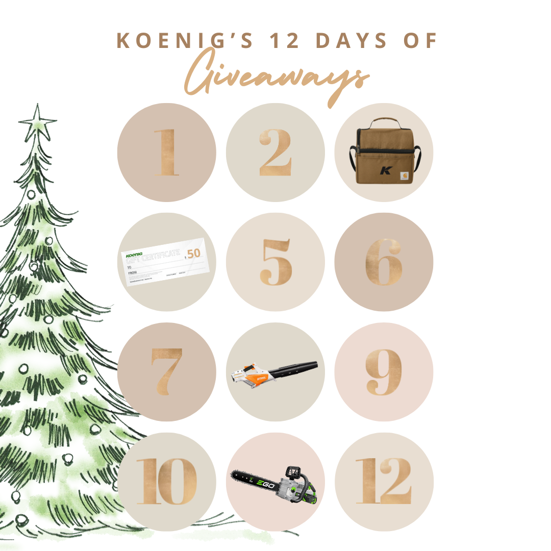 12 Days of Giveaways with Koenig