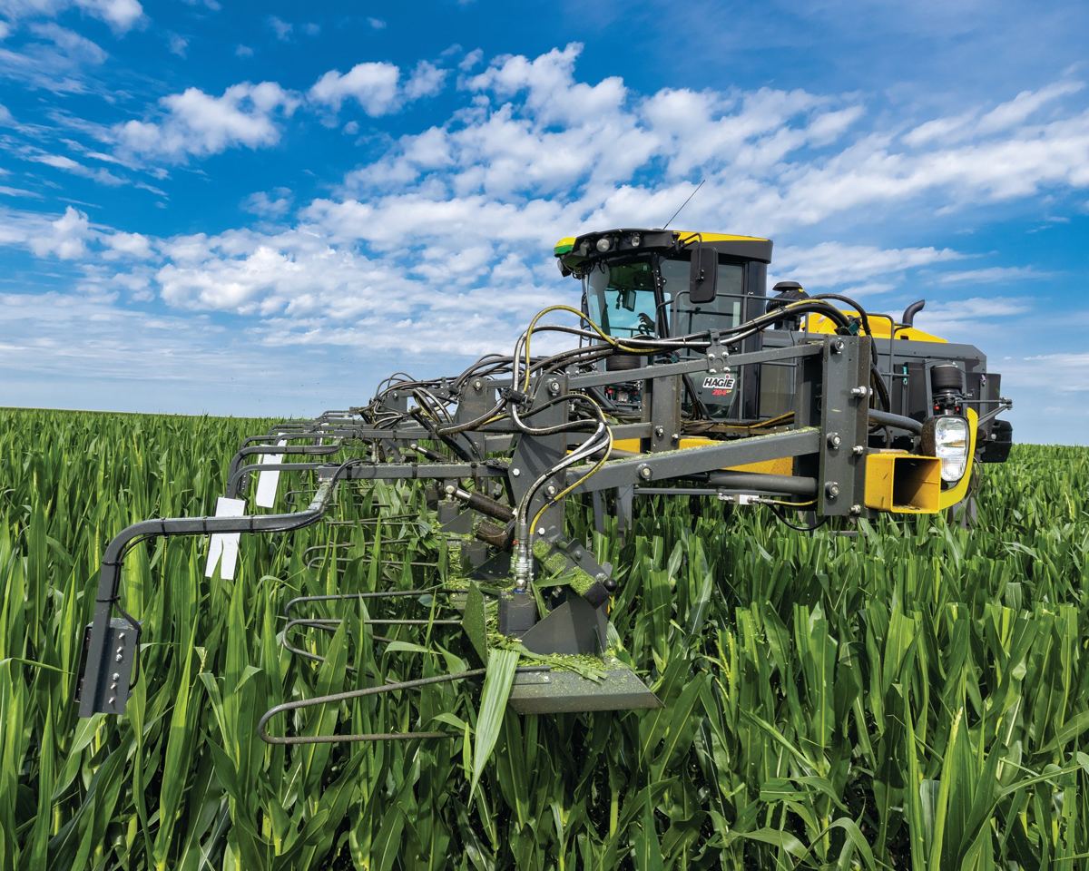 A yellow and black Hagie agricultural machine working in a green corn field under a blue sky