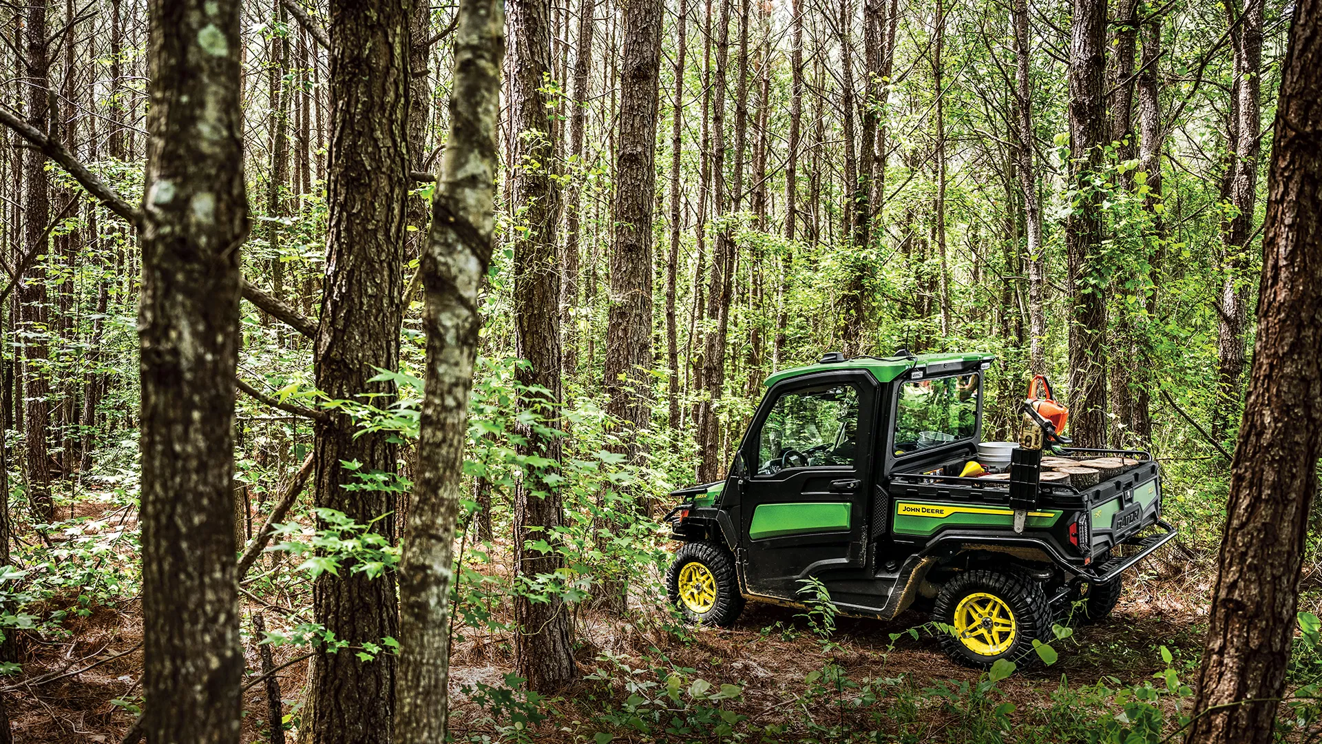 Performance Edge Maintenance Plan for Gators